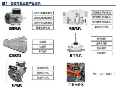 启动会 | 携手全球电驱龙头,瑞泰信息助力卧龙电驱全球营销数字化升级