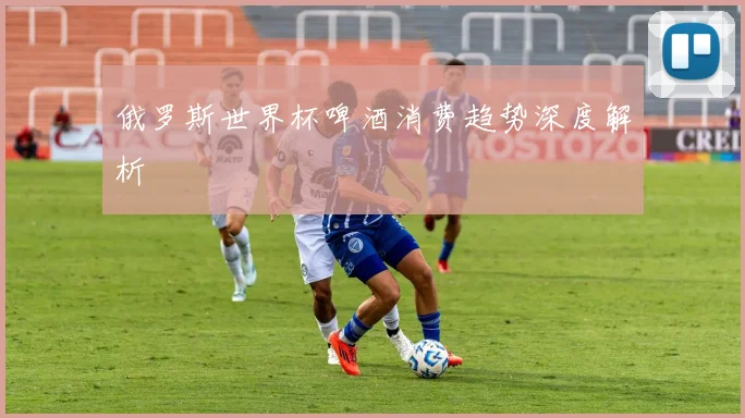 俄罗斯世界杯啤酒消费趋势深度解析