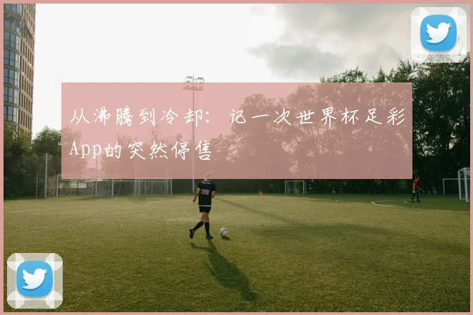 从沸腾到冷却：记一次世界杯足彩App的突然停售