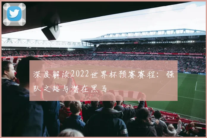 深度解读2022世界杯预赛赛程：强队之路与潜在黑马