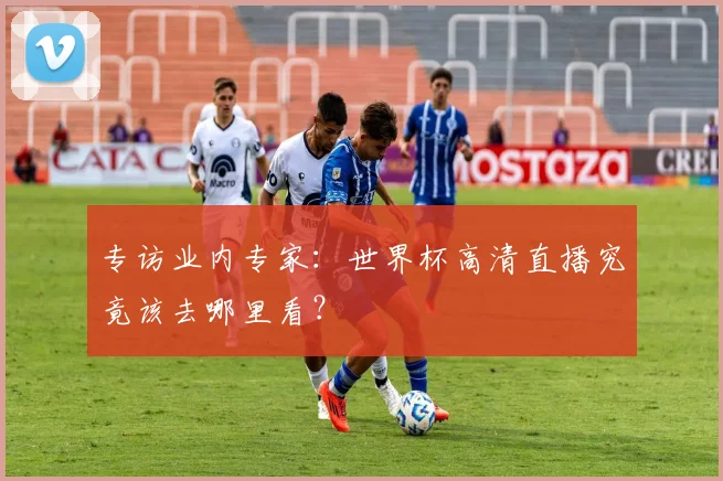 专访业内专家：世界杯高清直播究竟该去哪里看？