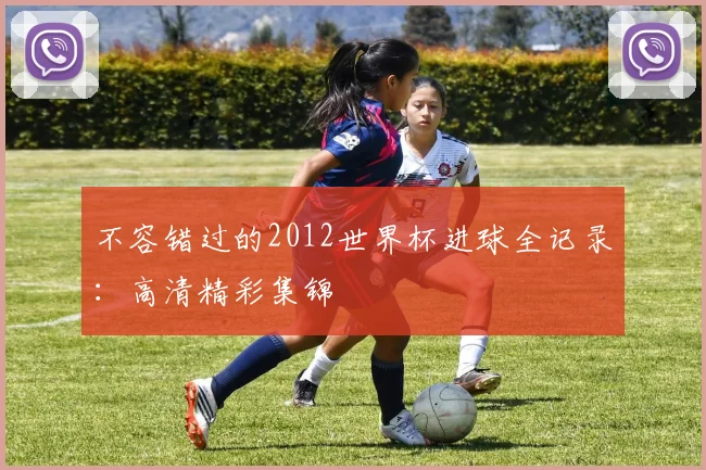 不容错过的2012世界杯进球全记录：高清精彩集锦